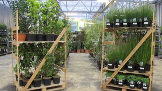 Un salon sans visiteurs, ce n’était pas possible cet été. Alors les organisateurs de Plantarium ont imaginé une version digitale début septembre, avec dans des visites d’entreprises la semaine précédente : GreenTours. ©Odile Maillard